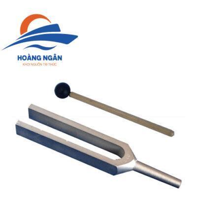 Âm thoa và búa cao su